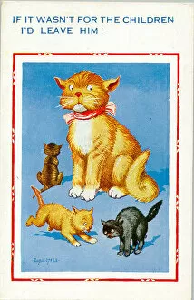 Postcard Collection: Comic postcard, Unhappy mother cat with kittens Date: 20th century