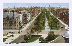 Commonwealth Avenue, Boston, Massachusetts, USA Commonwealth Avenue, Boston, Massachusetts, USA