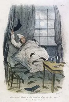 Circa 1840 Hand-Coloured Print of a Confused Rat