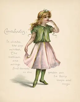 Vintage Floral Illustrations Prints: Convolvulus / Language of Flowers