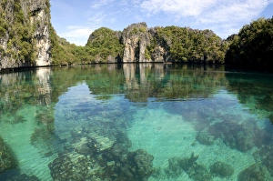 Corals in quiet and clear waters of a Big Lagoon Corals in quiet and clear waters of a Big Lagoon