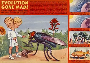 Evolutionary Science History Prints: Cosmic Mutation