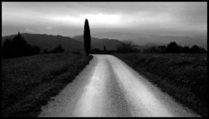 Country road with cypress tree Tuscany Country road with cypress tree Tuscany