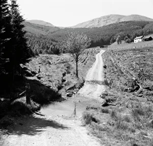 A country track - Machynlleth, Wales A country track - Machynlleth, Wales