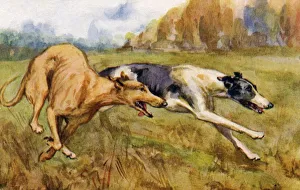 <b class=qtipBold><figcaption>Coursing greyhounds</figcaption></b><br>Coursing greyhounds. Artist: Eileen Hood. Watercolour of greyhound dogs racing through the countryside Date: circa 1922<br><em>© Mary Evans Picture Library 2015 - https://copyrighthub.org/s0/hub1/creation/maryevans/MaryEvansPictureID/10543046</em> Coursing greyhounds