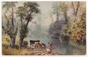Ivy Covered Trees Prints: Cows & River Sid