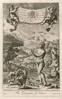 Michelangelo Sistine Chapel Ceiling Prints: Creation of Adam