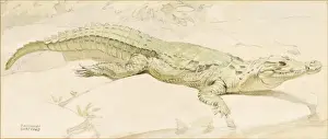 Crocodile Print: A Riverbank Scene in Crayon and Watercolour