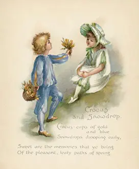 Print of Crocus and Snowdrop in Language of Flowers