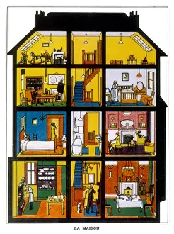 Cross-Section of House Print