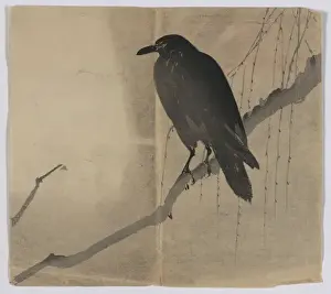 Japanese Woodblock Prints: Crow on a willow branch