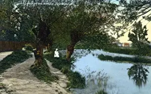 Vintage London Prints: Croyden, Willows on the Wandle