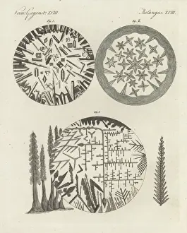 Picture Book For Children Art Prints: Crystals of silver solution and Dianas tree