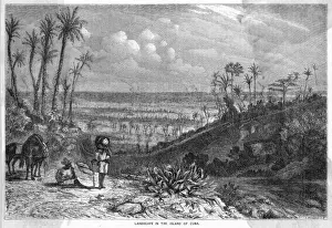 Cuban History Images Prints: Cuba Landscape