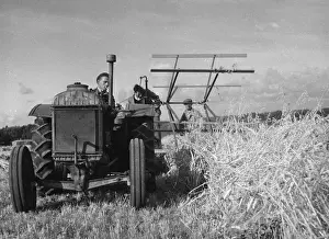 Farming In Britain Prints: Cutting the Crop