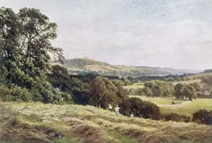 Traditional Farming Methods UK Prints: Cutting the Hay