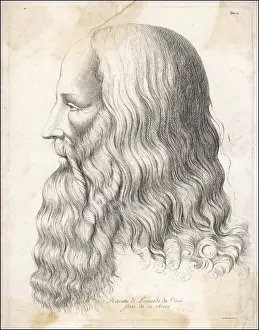 Leonardo Da Vinci Artwork Prints: Da Vinci / Self / Profile