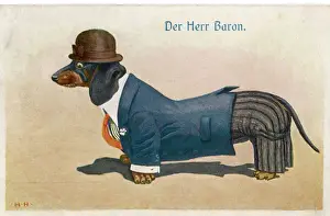 Dachshund in Male Attire Print