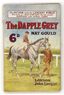 Equine Art Prints: THE DAPPLE GREY
