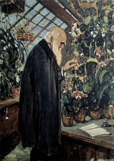 DARWIN, Charles Robert (1809-1882). British naturalist DARWIN, Charles Robert (1809-1882). British naturalist