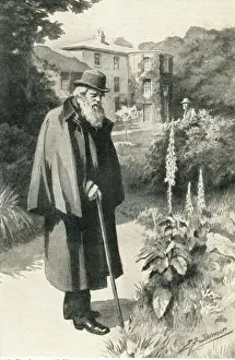 Victorian Garden Design Prints: Darwin in his garden