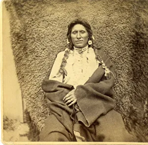David Frances Barry photo - Wolf Chief David Frances Barry photo - Wolf Chief