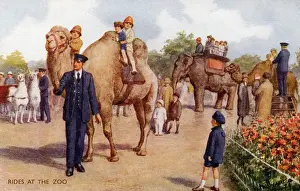 A Day at the Zoo Print, circa 1930