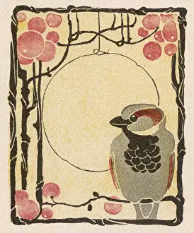 Historical Bird Prints: Decorative Bird