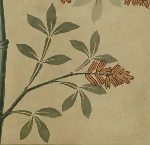 Natural History Museum Interior Prints: Detail of decorative ceiling panel