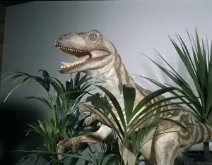 Deinonychus Print: A Model of the Terrible Claw Dinosaur