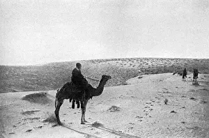 Desert Landscapes Prints: The Desert