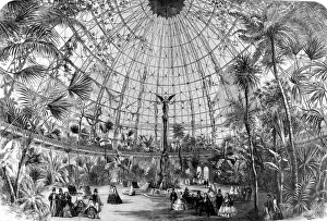 Design for a winter garden at Alexandra Palace, 1859 Design for a winter garden at Alexandra Palace, 1859