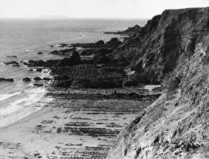 Low Tide Scenery Prints: Devonshire Coastline