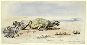 Prints of Original artwork by Benjamin Waterhouse Hawkins, donated by his granddaughter Mary Hawkins Benjamin Waterhouse Hawkins Prints: Prehistoric Reptiles Print by Benjamin Waterhouse Hawkins