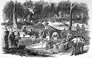 The diggers at Forest Creek, Port Phillip, Australia The diggers at Forest Creek, Port Phillip, Australia