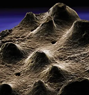 Scanning Electron Microscope Image Prints: Dinosaur eggshell