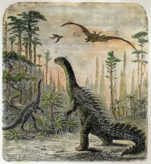 Prints of Dinosaurs of the Jurassic period : a Stegosaurus, with a Compsognathus in the background Extinct Prints: Jurassic Stegosaurus Print