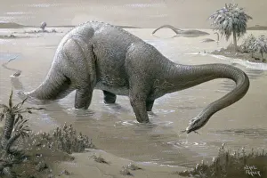 Prints of Weighing around 20 tonnes and reaching up to 26 metres in length Diplodocus is one of the longest-known dinosaurs. It lived 155 to 145 million years ago during the Upper Jurassic Extinct Prints: Diplodocus Print: A 26 Metre Long Jurassic Giant