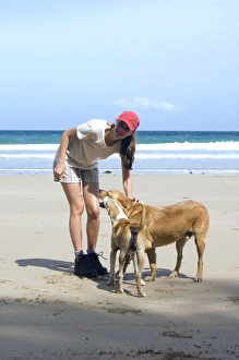 Dog - mongrels with tourist - Dogs roam free Dog - mongrels with tourist - Dogs roam free