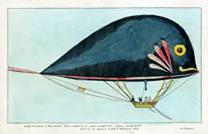 Dolphin airship by Jean Samuel Pauly and Durs Egg Dolphin airship by Jean Samuel Pauly and Durs Egg