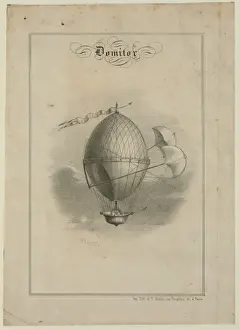 Balloon Flight Prints: Domitor