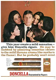 Prints of Advertisement for Doncella cigars featuring a man under a bunch of mistletoe smoking a cigar and attracting much interest from a bevy of beautiful brunettes. Date: 1965 Fashion Prints: Doncella Cigar Advertisement Print, 1965
