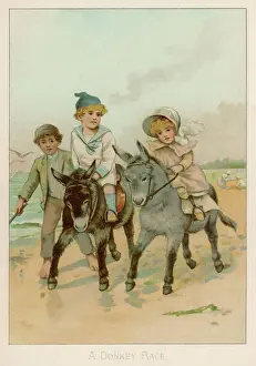 Antique Illustration Art Prints: A Donkey Race