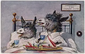 Donkeys Breakfast in Bed Print