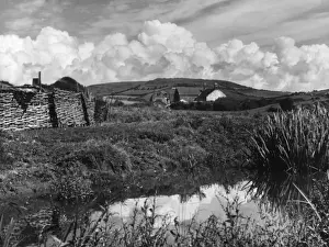 Dorset Countryside Prints: Dorset Scenery