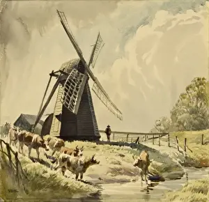 Rural Farming Scene Prints: Draining Mill, Herringfleet with cattle