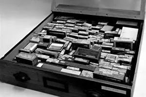 Studio Botanical Photography Prints: Drawer of botanical specimens