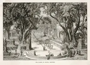 Ancient Greek Athletics Prints: Dromos, Sparta