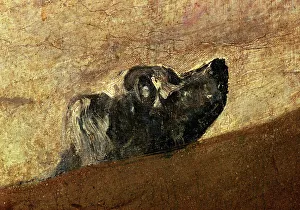 The drowning Dog, 1820-1823, by Francisco de Goya The drowning Dog, 1820-1823, by Francisco de Goya