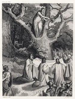Druids Cut Mistletoe Print